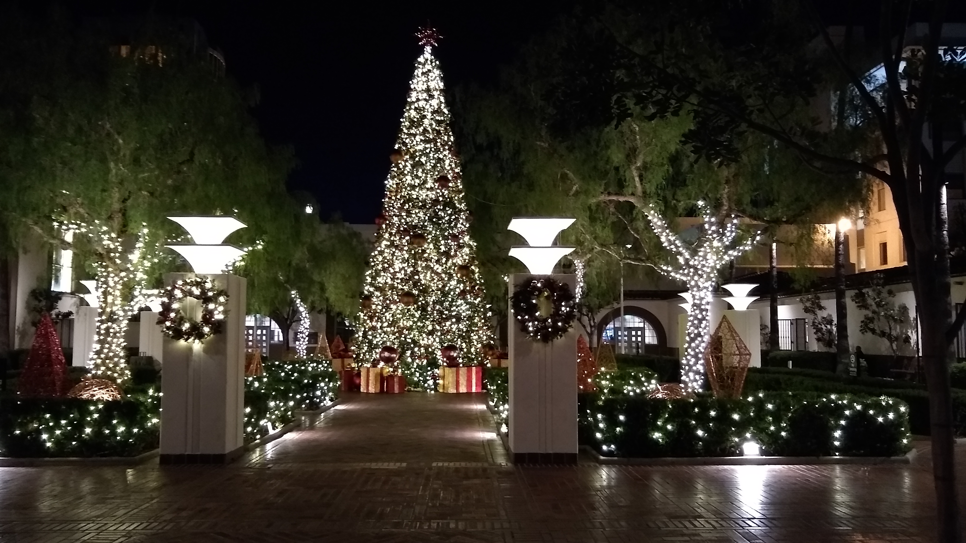 IMG_20191206_054448186