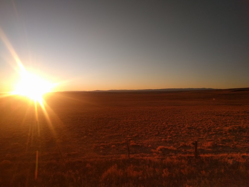 Amtrak train trip landscape