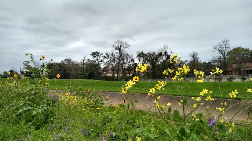 IMG_20200223_114419461_HDR